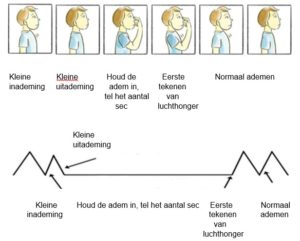 CP visueel en grafisch