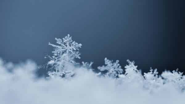 snowflake macro photo real snow crystal beautiful winter background seasonal nature wea min 1 min 1